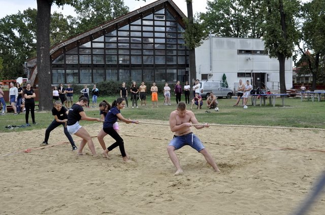 Verébtábor az Aranyban 12